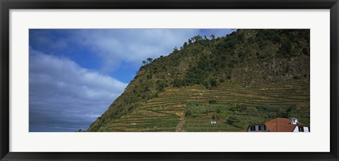 Framed Low angle view of terraced fields on a mountain, Ponta Delgada, Madeira, Portugal Print