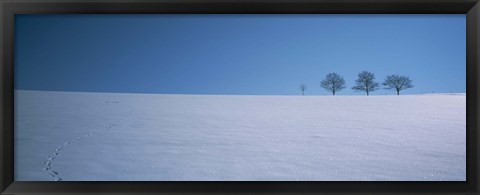 Framed Footprints on a snow covered landscape, St. Peter, Black Forest, Germany Print