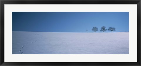 Framed Footprints on a snow covered landscape, St. Peter, Black Forest, Germany Print