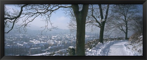 Framed Trees along a snow covered road, Freiburg Im Breisgau, Breisgau, Baden-Wurttemberg, Germany Print