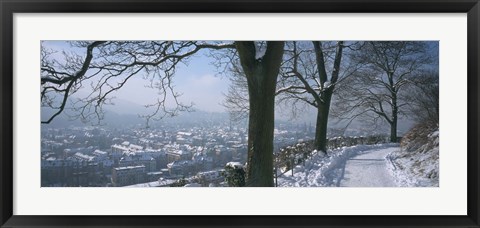 Framed Trees along a snow covered road, Freiburg Im Breisgau, Breisgau, Baden-Wurttemberg, Germany Print