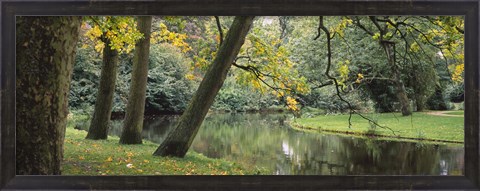 Framed Trees near a pond in a park, Vondelpark, Amsterdam, Netherlands Print