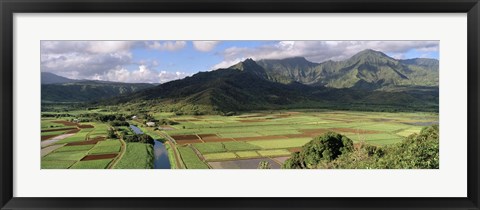 Framed High angle view of a field with mountains in the background, Hanalei Valley, Kauai, Hawaii, USA Print