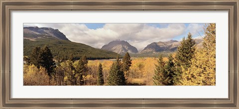 Framed Trees in a field, US Glacier National Park, Montana, USA Print