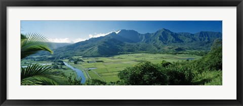 Framed High angle view of taro fields, Hanalei Valley, Kauai, Hawaii, USA Print