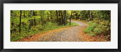 Framed Road passing through a forest, Country Road, Peacham, Caledonia County, Vermont, USA Print