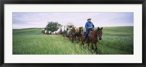 Framed Historical reenactment of covered wagons in a field, North Dakota, USA Print