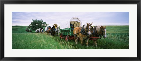 Framed Historical reenactment, Covered wagons in a field, North Dakota, USA Print