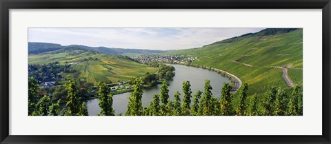 Framed Vineyards along a river, Moselle River, Mosel-Saar-Ruwer, Germany Print