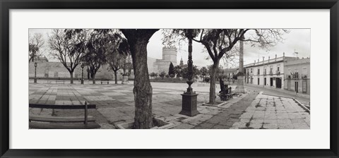 Framed Trees in front of a building, Alameda Vieja, Jerez, Cadiz, Spain Print