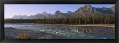 Framed Trees along a river with a mountain range in the background, Athabasca River, Jasper National Park, Alberta, Canada Print