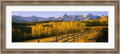 Framed Trees in a field near a wooden fence, Dallas Divide, San Juan Mountains, Colorado Print