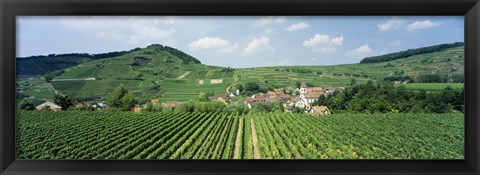 Framed Vineyards near a village, Oberbergen, Der Vogelsangpass, Bereich Kaiserstuhl, Baden-Wurttemberg, Germany Print