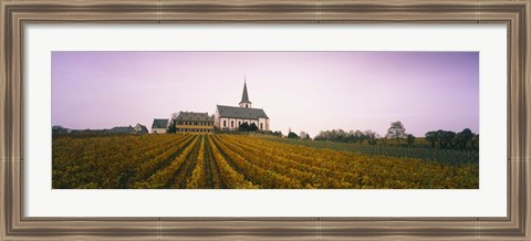 Framed Vineyard with a church in the background, Hochheim, Rheingau, Germany Print