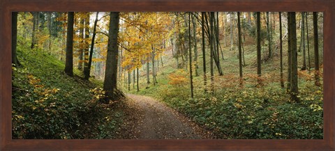 Framed Road passing through a forest, Baden-Wurttemberg, Germany Print