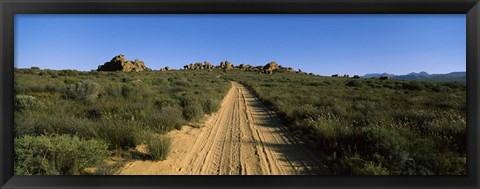 Framed Dirt road passing through a landscape, Kouebokkeveld, Western Cape Province, South Africa Print