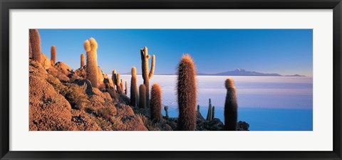 Framed Cactus on a hill, Salar De Uyuni, Potosi, Bolivia Print