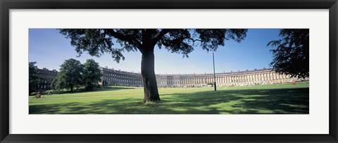Framed Tree in front of a building, Royal Crescent, Bath, England Print