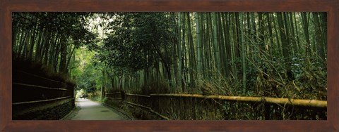 Framed Road passing through a bamboo forest, Arashiyama, Kyoto Prefecture, Kinki Region, Honshu, Japan Print