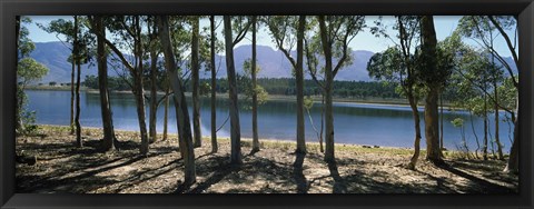 Framed dam on a farm in Hermon, South Africa Print