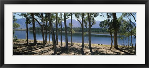 Framed dam on a farm in Hermon, South Africa Print