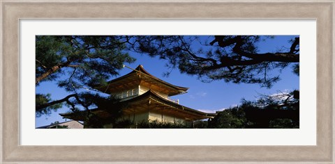 Framed Low angle view of trees in front of a temple, Kinkaku-ji Temple, Kyoto City, Kyoto Prefecture, Kinki Region, Honshu, Japan Print