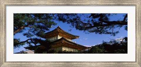 Framed Low angle view of trees in front of a temple, Kinkaku-ji Temple, Kyoto City, Kyoto Prefecture, Kinki Region, Honshu, Japan Print