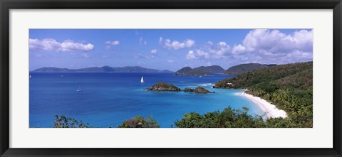 Framed Trees on the coast, Trunk Bay, Virgin Islands National Park, St. John, US Virgin Islands Print