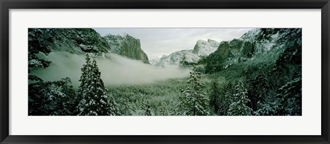 Framed Trees in a forest, Yosemite National Park, Mariposa County, California, USA Print