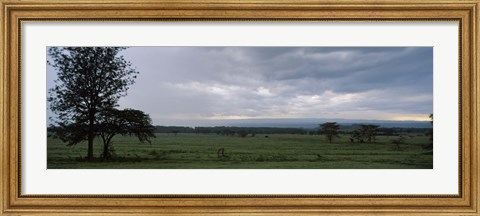 Framed Lake Nakuru National Park, Great Rift Valley, Kenya Print