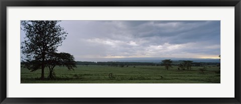 Framed Lake Nakuru National Park, Great Rift Valley, Kenya Print