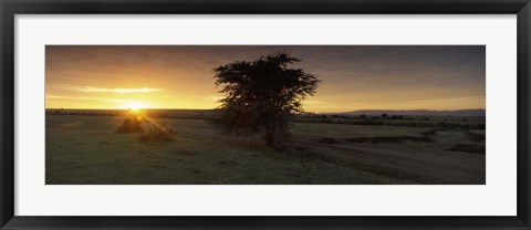 Framed Sunset over a landscape, Masai Mara National Reserve, Great Rift Valley, Kenya Print