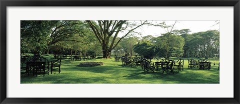 Framed Chairs and tables in a lawn, Lake Naivasha Country Club, Great Rift Valley, Kenya Print