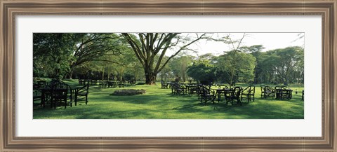 Framed Chairs and tables in a lawn, Lake Naivasha Country Club, Great Rift Valley, Kenya Print