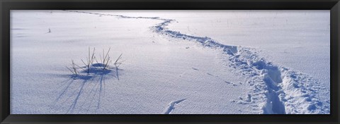 Framed Track on a snow covered landscape, Apennines, Emilia-Romagna, Italy Print