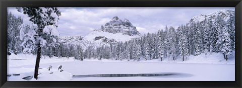 Framed Trees along a frozen lake, Lake Antorno, Tre Cime Di Lavaredo, Dolomites, Cadore, Province of Belluno, Veneto, Italy Print