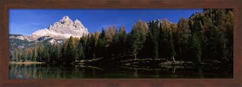 Framed Trees at the lakeside, Lake Misurina, Tre Cime Di Lavaredo, Dolomites, Cadore, Province of Belluno, Veneto, Italy Print