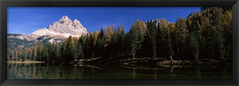 Framed Trees at the lakeside, Lake Misurina, Tre Cime Di Lavaredo, Dolomites, Cadore, Province of Belluno, Veneto, Italy Print