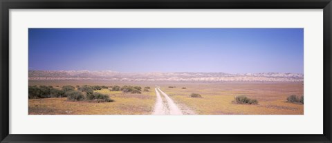 Framed Dirt road passing through a landscape, Carrizo Plain, San Luis Obispo County, California, USA Print