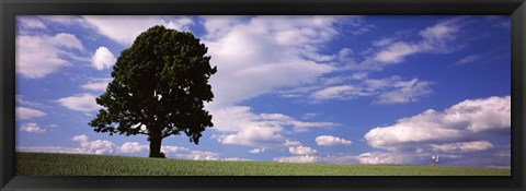 Framed Tree in a field with woman walking along with balloons, Baden-Wurttemberg, Germany Print