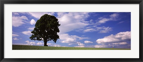 Framed Tree in a field with woman walking along with balloons, Baden-Wurttemberg, Germany Print