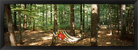 Framed Hammock in a forest, Baden-Wurttemberg, Germany Print