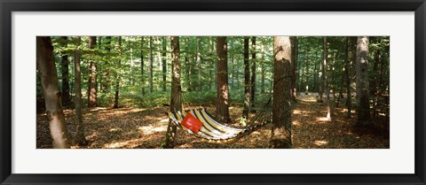 Framed Hammock in a forest, Baden-Wurttemberg, Germany Print