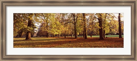 Framed Ludwigsburg Park in autumn, Ludwigsburg, Baden-Wurttemberg, Germany Print