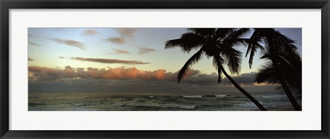 Framed Palm trees on the beach, Hawaii, USA Print