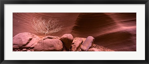 Framed Bare Tree and Rock formations, Antelope Canyon, Arizona Print