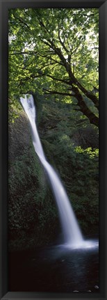 Framed Waterfall in a forest, Horsetail falls, Larch Mountain, Hood River, Columbia River Gorge, Oregon, USA Print