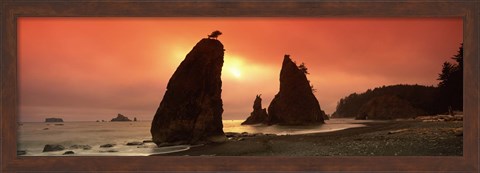 Framed Silhouette of seastacks at sunset, Olympic National Park, Washington State Print