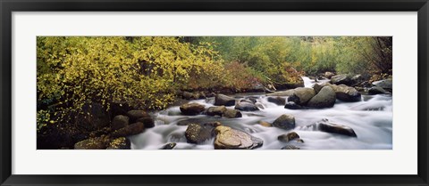 Framed River passing through a forest, Inyo County, California, USA Print