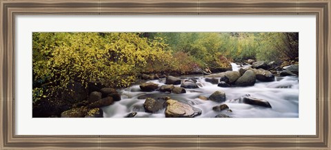 Framed River passing through a forest, Inyo County, California, USA Print